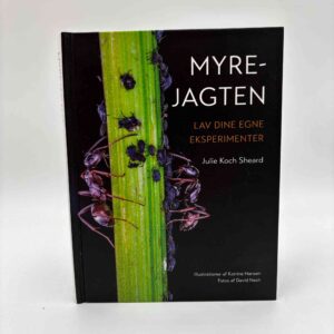 Julie Koch Sheard: Myrejagten - Lav dine egne eksperimenter